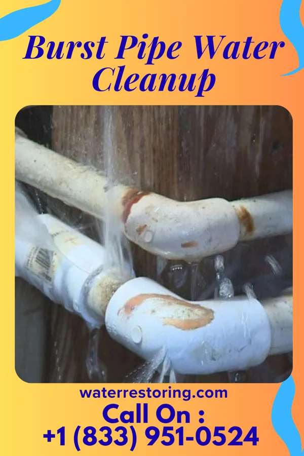 Burst Pipe Water Cleanup in Booth, WV