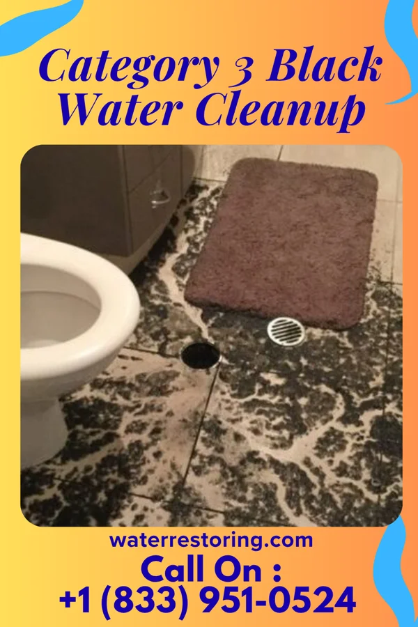 Category 3 Black Water Cleanup in Booth, WV
