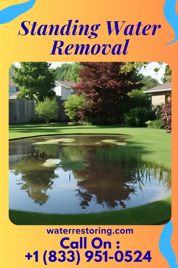 Standing Water Removal in Booth, WV
